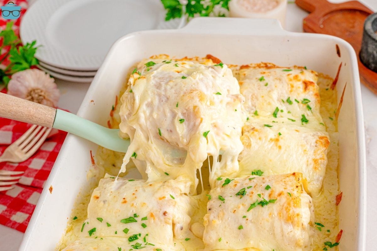 A spatula getting a scoop of Chicken Alfredo Lasagna Rollups from the baking dish.
